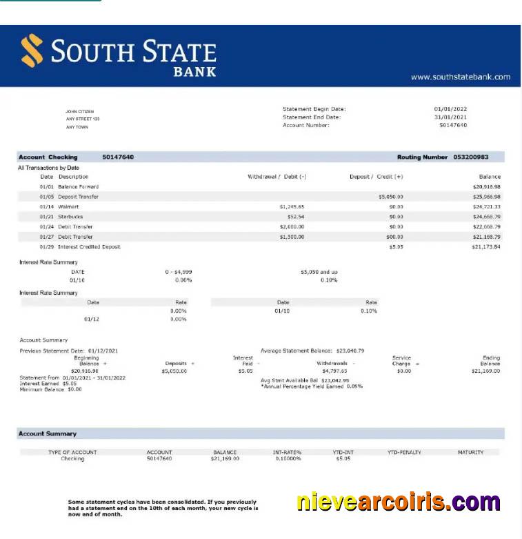 USA South State Bank statement Word and PDF w